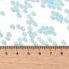 Glass Seed Beads X1-SEED-H002-H-1304-4