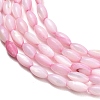 Natural Freshwater Shell Beads Strands SHEL-C010-01E-2