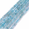 Natural Apatite Beads Strands X-G-G991-C03-1
