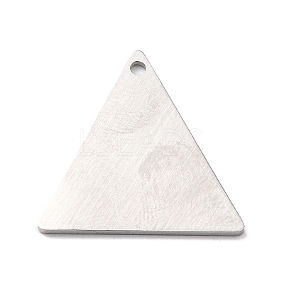 Tarnish Resistant 304 Stainless Steel Pendants STAS-F271-08D-P-1