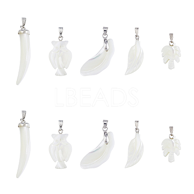 10Pcs 5 Style Natural Trochid Shell/Trochus Shell Pendants SSHEL-FH0001-18-1