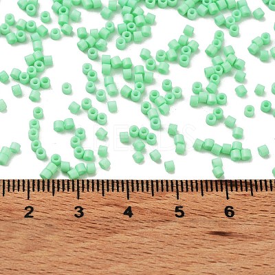 Baking Paint Glass Seed Beads SEED-S042-05B-59-1