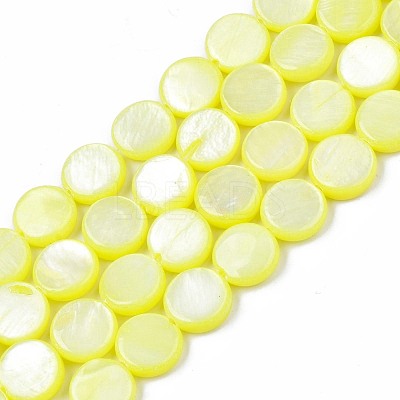 Freshwater Shell Beads Strands SHEL-T009-B16-01-1