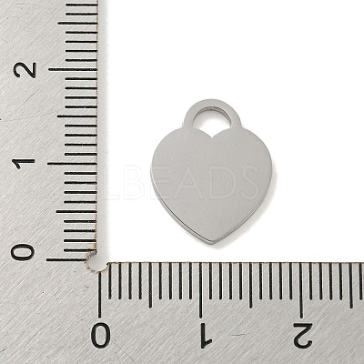 Non-Tarnish 304 Stainless Steel Pendants FIND-M017-01P-B-1