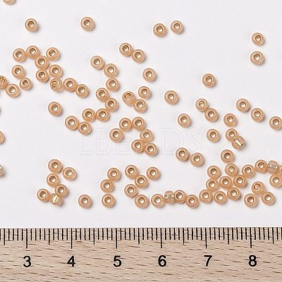 MIYUKI Round Rocailles Beads X-SEED-G008-RR0580-1
