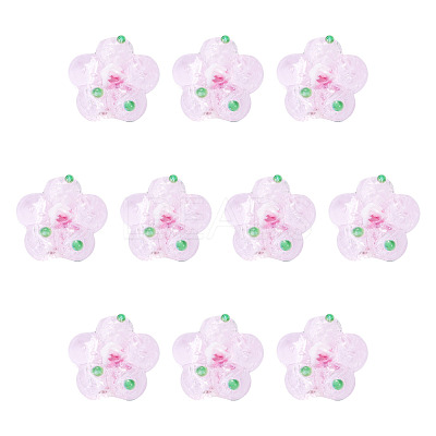 10Pcs Handmade Lampwork Beads LAMP-TADJ0001-01J-1