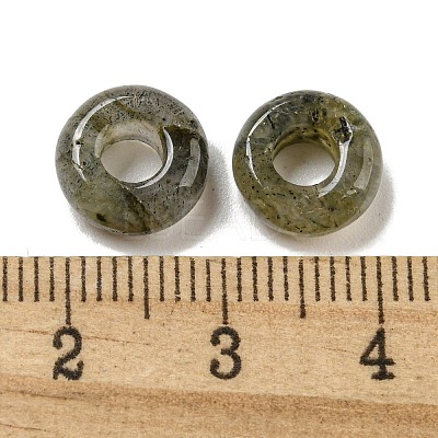 Natural Labradorite Beads X-G-Q173-03A-11-1