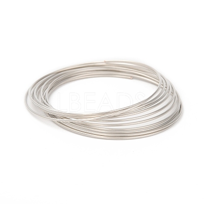Steel Memory Wire MW5.5cm-1-1