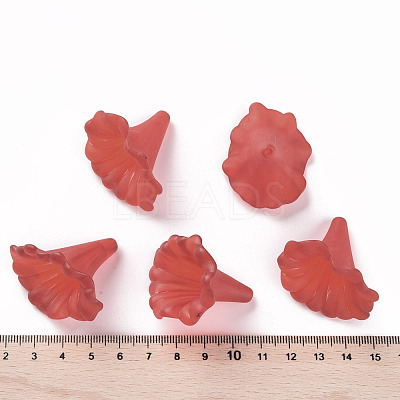 Transparent Acrylic Beads BSF796-C12-1