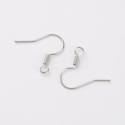 Iron Earring Hooks E133-S-1