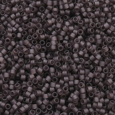 MIYUKI Delica Beads SEED-X0054-DB2405-1