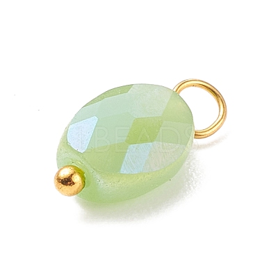 Electroplate Glass Pendants PALLOY-JF01541-05-1