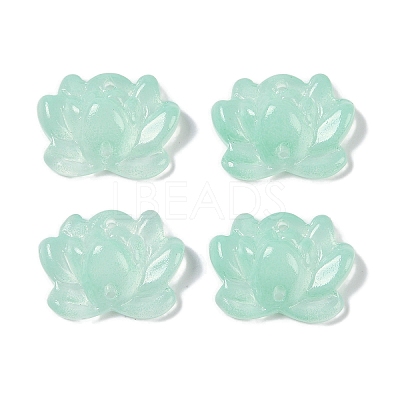 Baking Paint Glass Beads X-GLAA-S202-13G-1