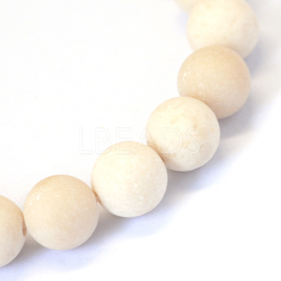 Frosted Natural Fossil Round Bead Strands G-E334-10mm-22-1