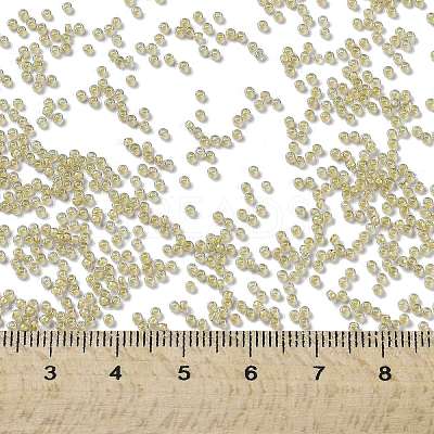 MIYUKI Round Rocailles Beads X-SEED-G009-RR2250-1