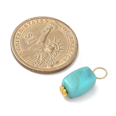 Opaque Acrylic Pendants PALLOY-JF04023-1