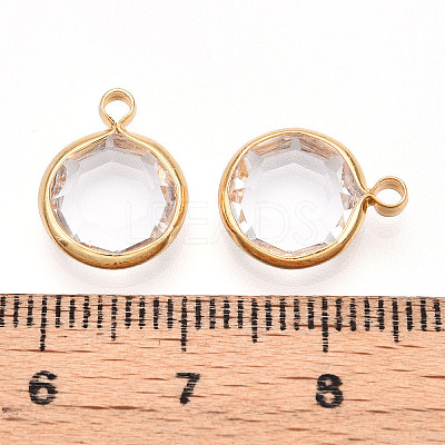 K9 Glass Charms X1-GLAA-T023-37A-02-1