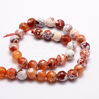 Dyed Natural Fire Crackle Agate Faceted Round Beads Strands G-E320C-8mm-06-1