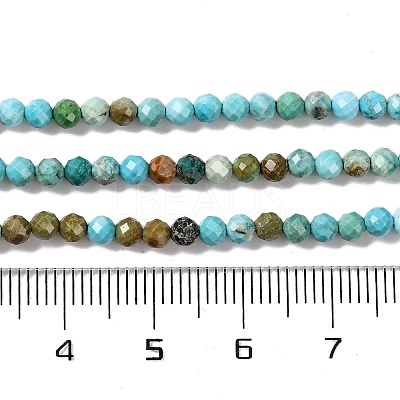 Natural Howlite Beads Strands G-C025-02B-06-1