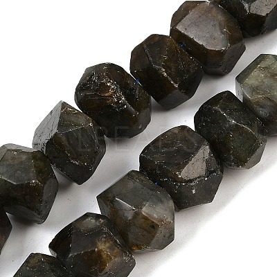 Natural Labradorite Beads Strands G-F796-D05-01-1