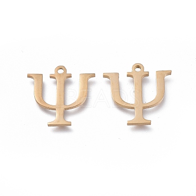 304 Stainless Steel Charms LS-STAS-K215-11G-1