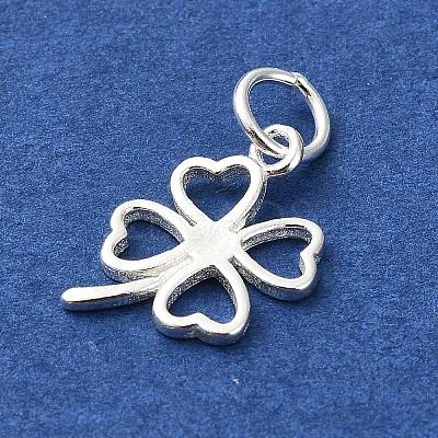 925 Sterling Silver Charms STER-M119-12S-1