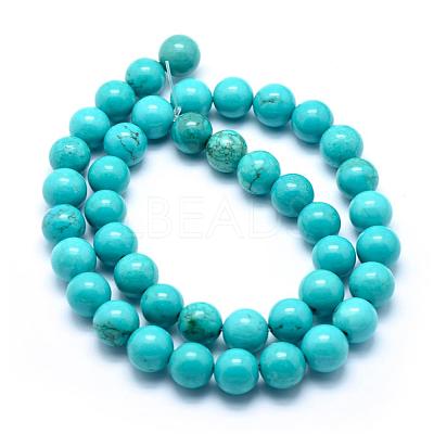 Natural Magnesite Round Beads Strands TURQ-G148-03-10mm-1
