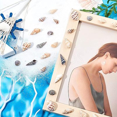140Pcs 2 Style Natural Shell Beads SSHEL-FH0001-08-1