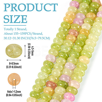 1 Strand Glass Beads Strands GLAA-TADJ0001-06D-1