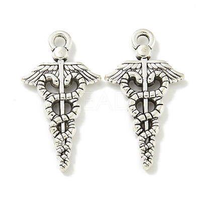 Tibetan Style Alloy Pendants TIBE-I026-6007AS-1