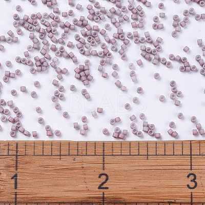 MIYUKI Delica Beads X-SEED-J020-DB0379-1