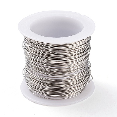 Non-Tarnish 316 Surgical Stainless Steel Wire TWIR-L004-01B-P-1
