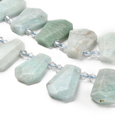 Natural Amazonite Beads Strands G-H078-A06-01-1