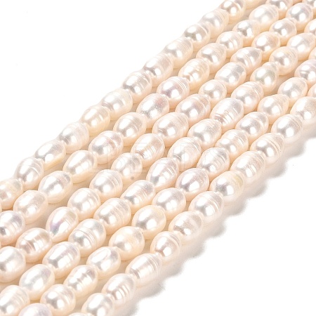 Natural Cultured Freshwater Pearl Beads Strands PEAR-E016-181A-1