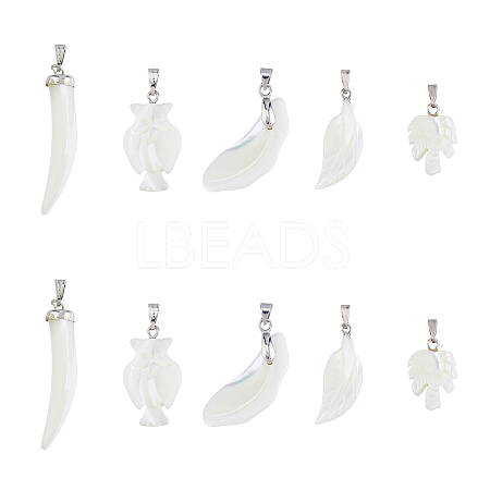10Pcs 5 Style Natural Trochid Shell/Trochus Shell Pendants SSHEL-FH0001-18-1