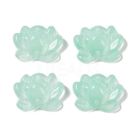 Baking Paint Glass Beads X-GLAA-S202-13G-1
