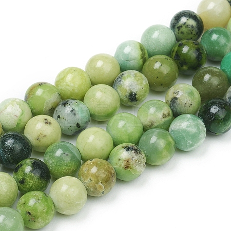 Natural Serpentine Beads Strands X-G-G829-06-10mm-1