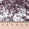 MIYUKI Round Rocailles Beads X-SEED-G009-RR2402-4