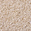 MIYUKI Delica Beads SEED-MY11-DB1874-3