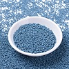 MIYUKI Round Rocailles Beads X-SEED-G007-RR4482-2