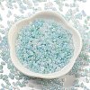Ceylon Glass Seed Beads SEED-K009-02B-44-2
