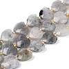 Natural Labradorite Beads Strands LS-G-P592-B14-01-2