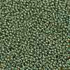 TOHO Round Seed Beads SEED-JPTR11-0380-2