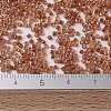 MIYUKI Delica Beads SEED-X0054-DB1733-4