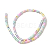 Rainbow Color Dyed Natural Freshwater Shell Beads Strands X1-SHEL-G018-02D-2