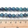 Dyed Natural Dolomite Beads Strands G-D337-8mm-D06-5