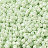Opaque Colours Luster Glass Seed Beads SEED-B001-01A-10-3