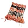 10 Skeins 6-Ply Polyester Embroidery Floss OCOR-K006-A03-1