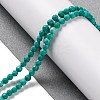 Natural Howlite Beads Strands G-C025-02B-08-2