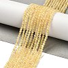 Natural Citrine Beads Strands G-Z074-A03-01-1